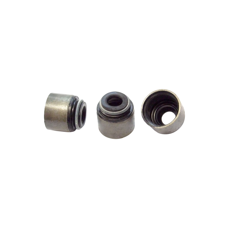 Valve Seals